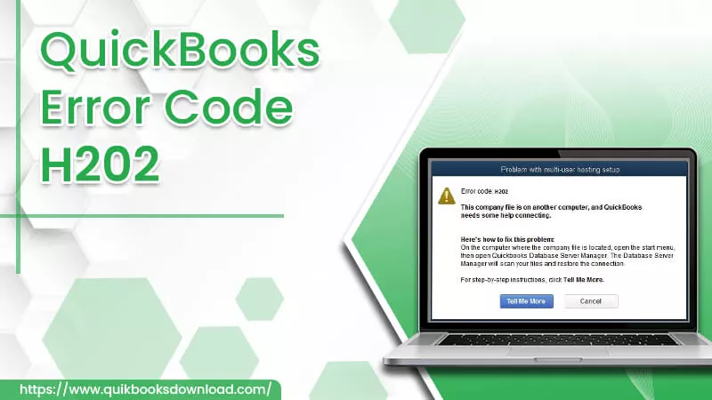 QuickBooks error code H202